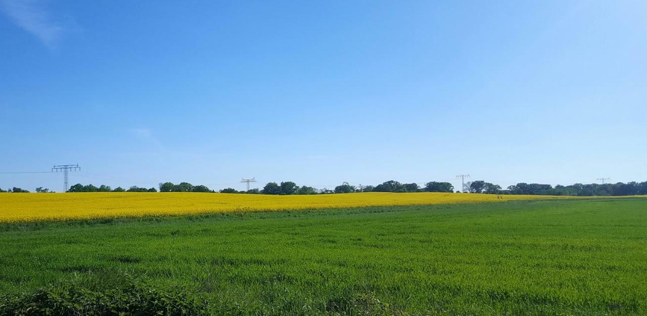 Ferienwohnung Urte In Putgarten , Kap Arkona Ruegen Dış mekan fotoğraf